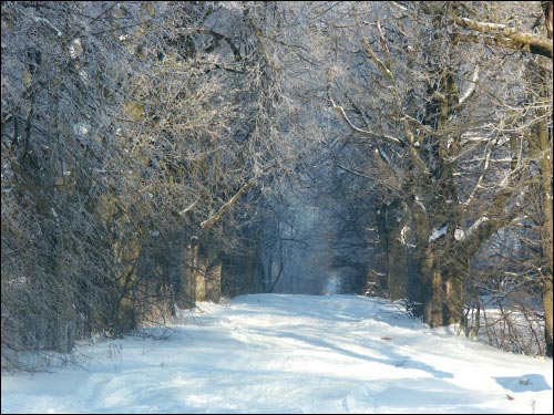 Дукора. Палацава-паркавы ансамбль Гартынгаў