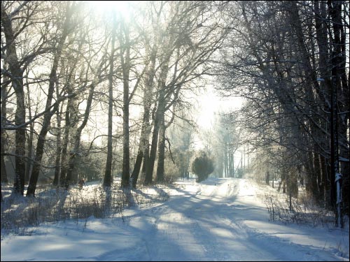 Дукора. Палацава-паркавы ансамбль Гартынгаў