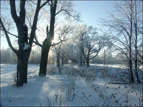 Дукора. Палацава-паркавы ансамбль Гартынгаў