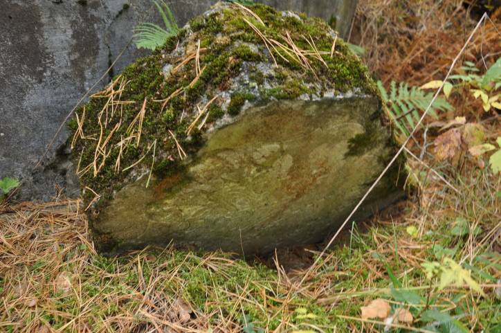 Świerżeń Nowy. Cmentarz żydowski