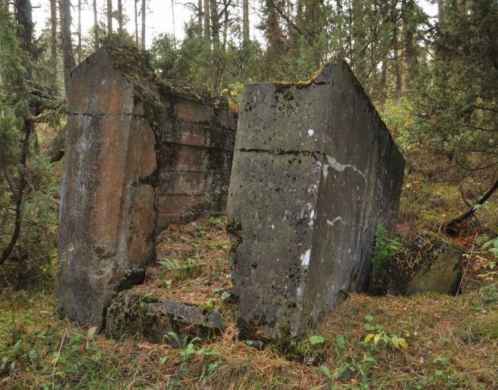 Świerżeń Nowy. Cmentarz żydowski