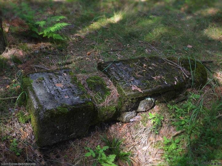 Świerżeń Nowy. Cmentarz żydowski