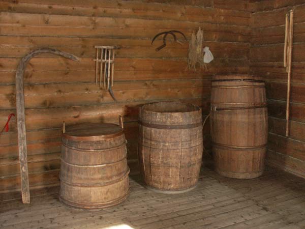 Стоўбцы. Сядзіба Міцкевічаў у Акіньчыцах