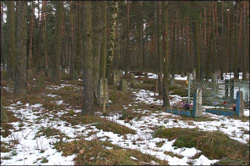  - Cmentarz tatarski (Mizer). Fragment cmentarza