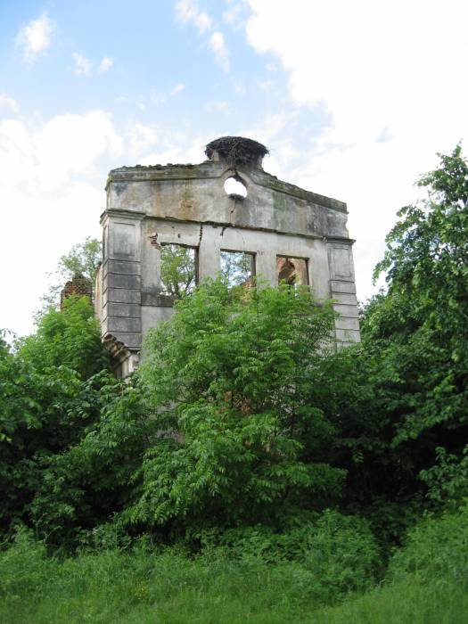 Nadnioman. Manor of Narkievič-Jodka