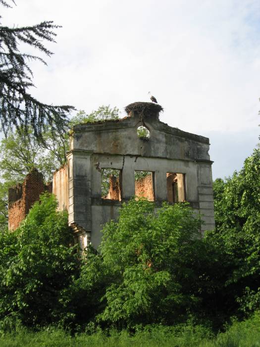 Nadnioman. Manor of Narkievič-Jodka