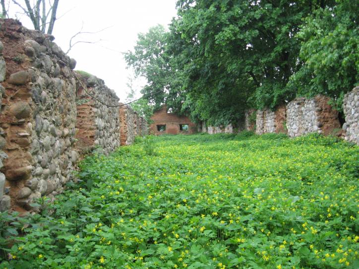 Nadnioman. Manor of Narkievič-Jodka