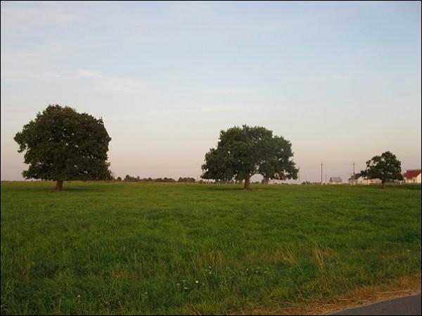 Piaršai. Landscapes 