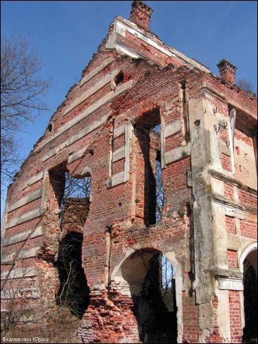  - Zespół pałacowo-parkowy Tyszkiewiczów. Ruina pałacu