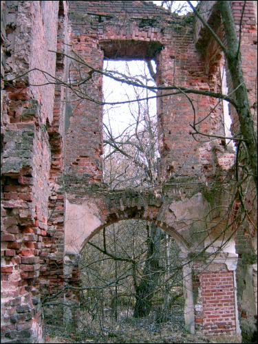  - Zespół pałacowo-parkowy Tyszkiewiczów. Ruina pałacu