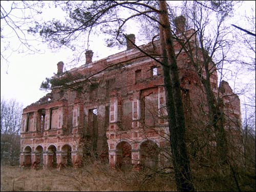 - Zespół pałacowo-parkowy Tyszkiewiczów. Ruina pałacu, 22.12.2007 r