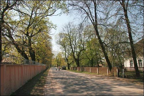  - Zespół dworsko-parkowy Pusłowskich. Droga wiodąca od północnej bramy do dworu, 04 2009