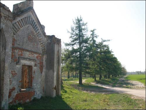  - Zespół dworsko-parkowy Pusłowskich. Fragment bramy zachodniej z wysadzoną modrzewiami aleją 'śmiertelną', czyli wiodącą do rodzinnego cmentarza. Fot. 04 2009