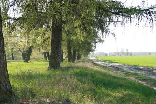  - Zespół dworsko-parkowy Pusłowskich. Modrzewie, 04 2009