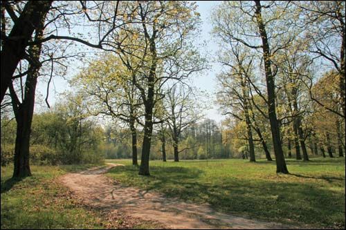  - Zespół dworsko-parkowy Pusłowskich. Fragment parku, 04 2009