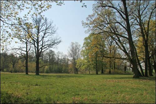  - Zespół dworsko-parkowy Pusłowskich. Fragment parku, 04 2009