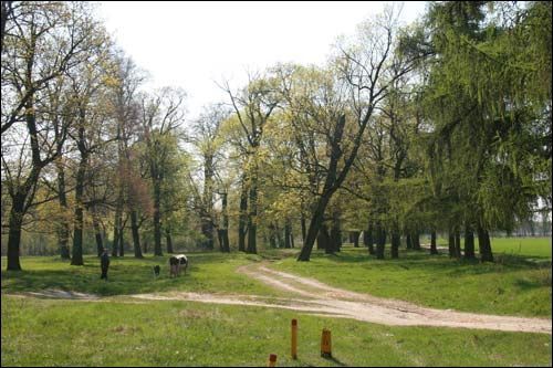  - Zespół dworsko-parkowy Pusłowskich. Fragment parku, 04 2009