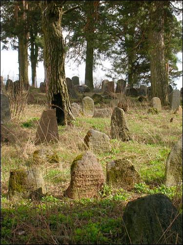 Dołhinów. Cmentarz żydowski