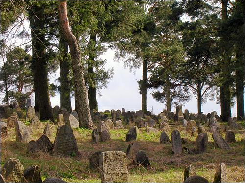 Dołhinów |  Cmentarz żydowski. Fragment cmentarza (04.2007)
