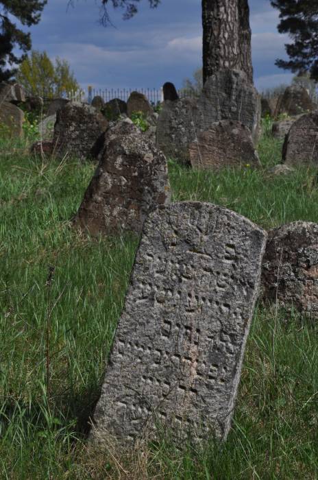 Dołhinów. Cmentarz żydowski