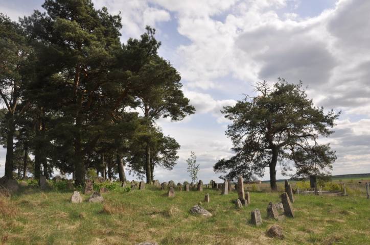 Dołhinów. Cmentarz żydowski
