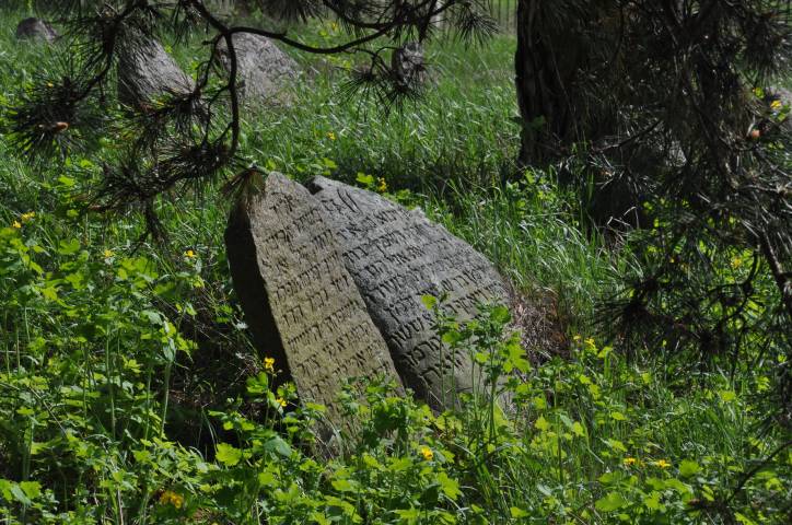 Dołhinów. Cmentarz żydowski