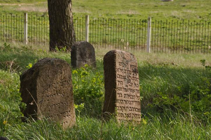 Dołhinów. Cmentarz żydowski