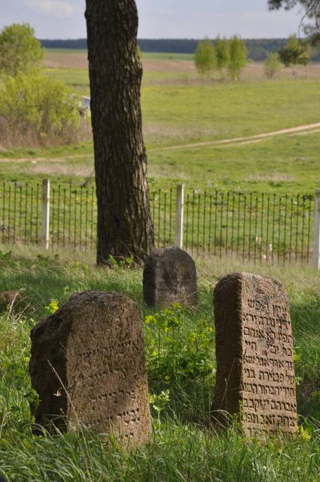 Dołhinów. Cmentarz żydowski