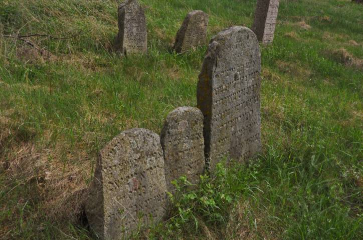 Dołhinów. Cmentarz żydowski