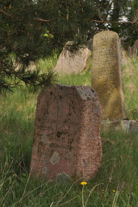 Dołhinów. Cmentarz żydowski