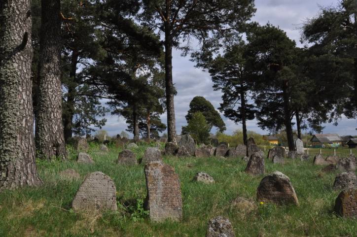 Dołhinów. Cmentarz żydowski