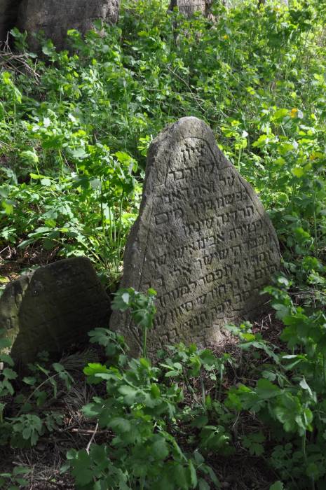 Dołhinów. Cmentarz żydowski