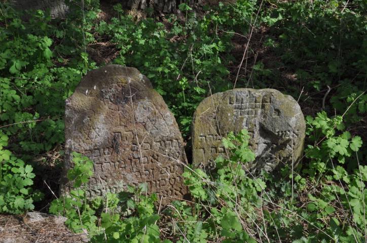 Dołhinów. Cmentarz żydowski