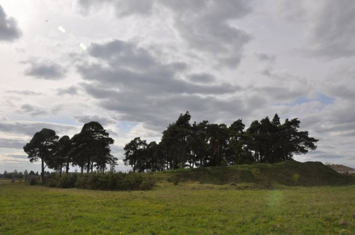 Dołhinów. Cmentarz żydowski