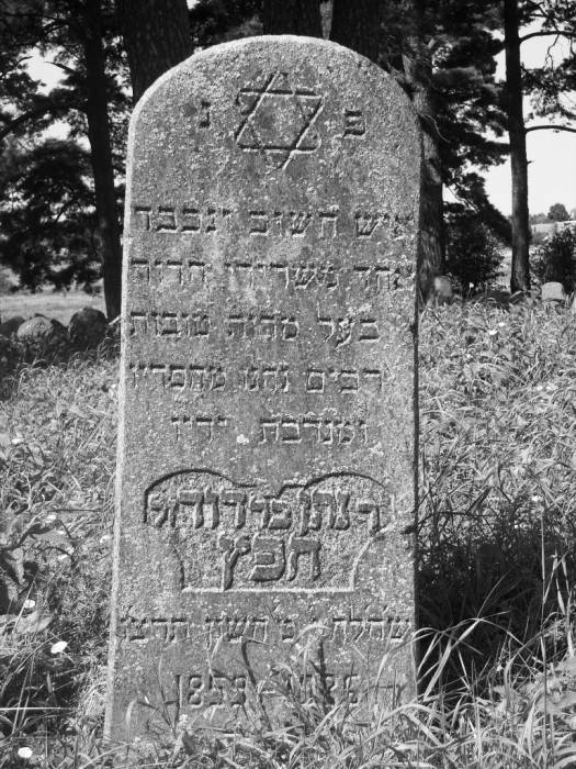 Dołhinów. Cmentarz żydowski