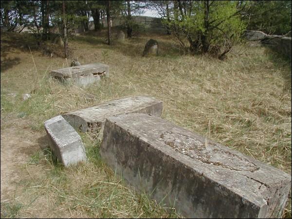 Vilejka.  cemetery Jewish