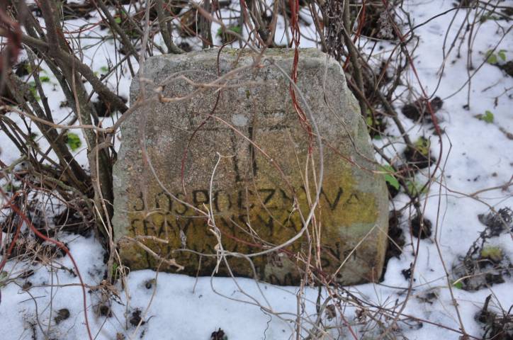 Аборак (Палачаны). Могілкі старыя каталіцкія