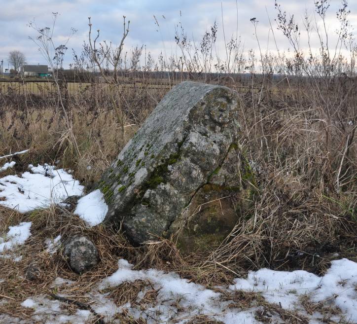 Аборак (Палачаны). Могілкі старыя каталіцкія