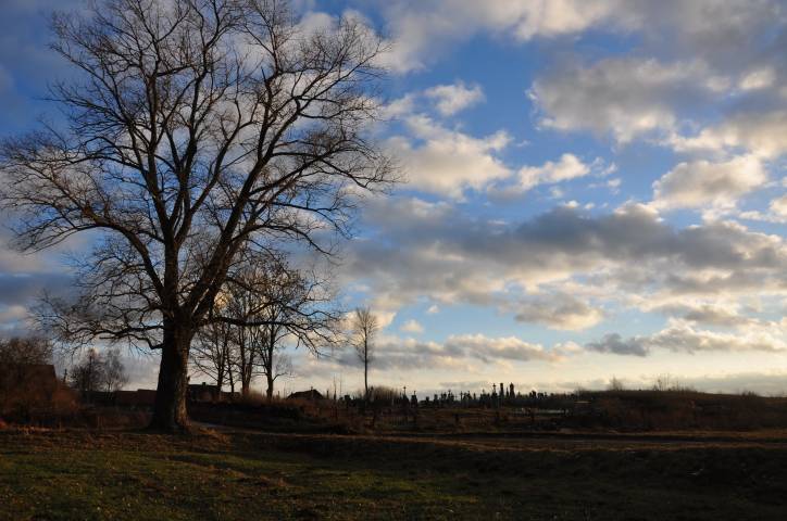 Аборак (Палачаны). Могілкі старыя каталіцкія