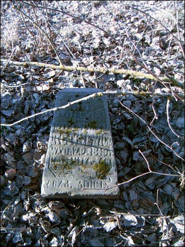  - cemetery Old Catholic. 
