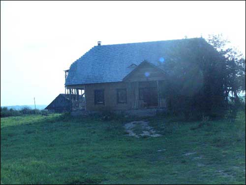  -  Bieły's Farmstead «St. Martin's goose». 