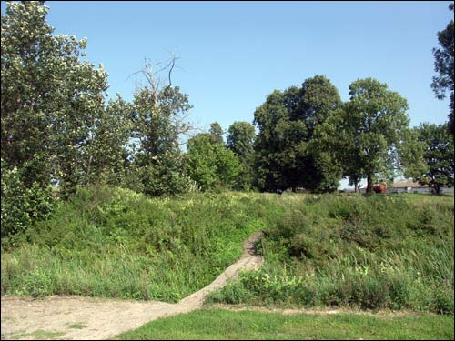 Karack. Dwór Czarnockich