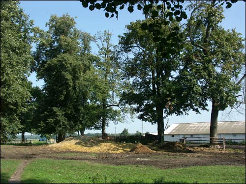 Karack. Dwór Czarnockich