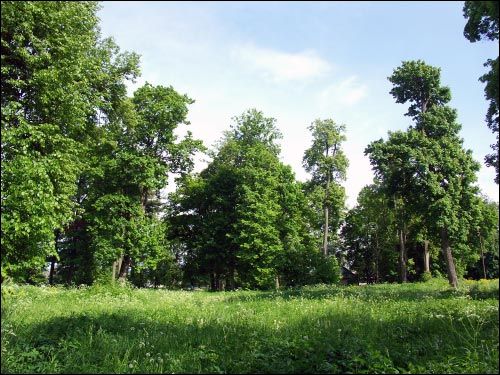  - Manor of Krupski. 