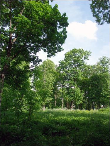  - Manor of Krupski. 