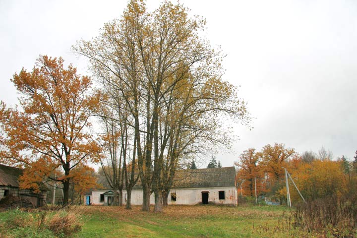 Maćkaŭcy. Farmstead of Bohdanowicz