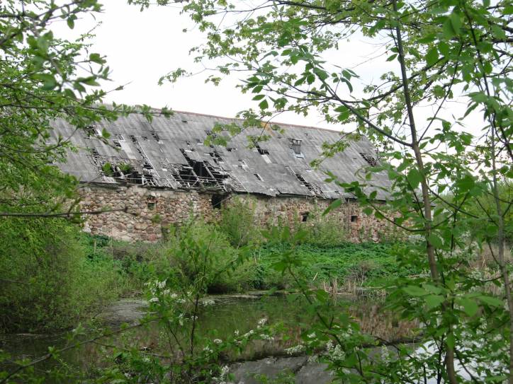 Łycavičy. Farmstead 
