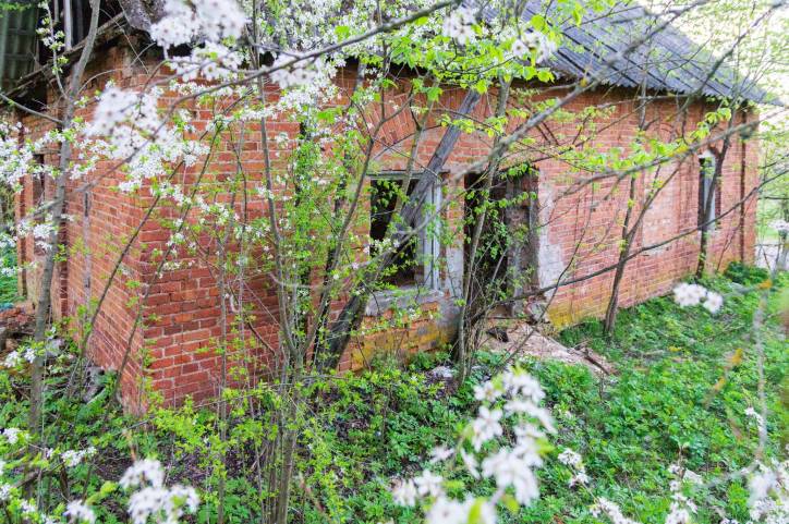 Łycavičy. Farmstead 