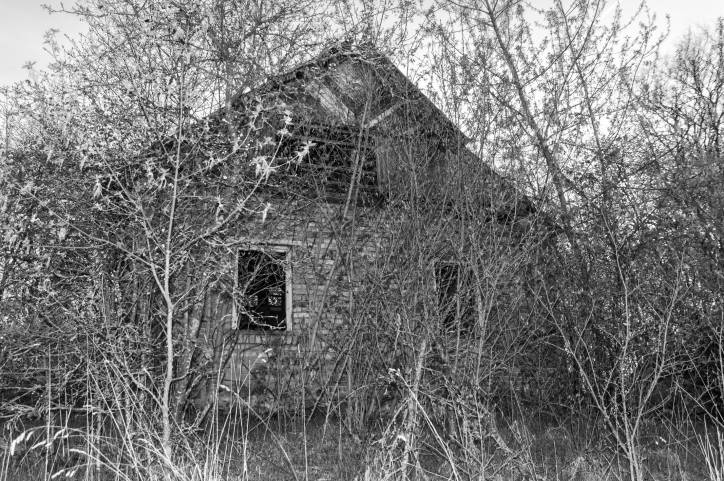 Łycavičy. Farmstead 