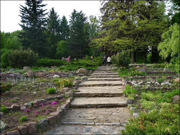  -  Сад батанічны. 